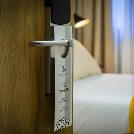 ホテル Zentral Mayoral 3*