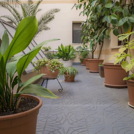 Zentral Mayoral ホテル