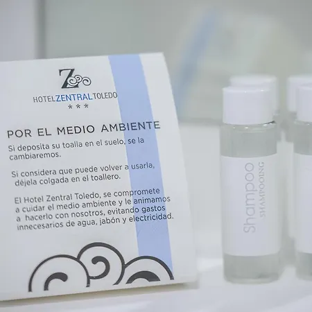 Zentral Mayoral Отель Толедо