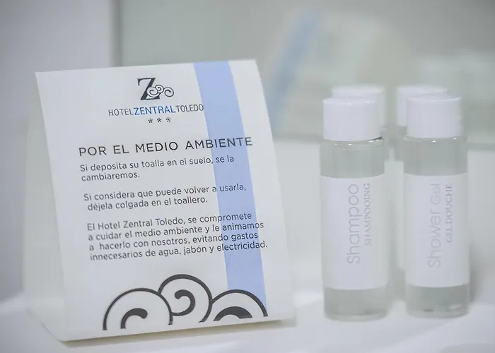 Zentral Mayoral Hotel Tolède